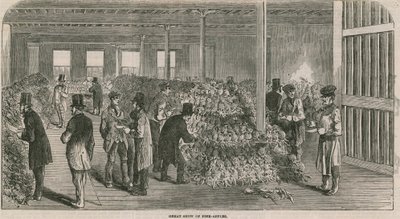 Harika ananas gösterisi by English School