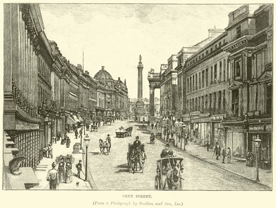 gri sokak by English School