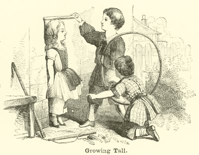 uzun boylu büyümek by English School