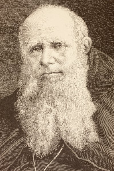 Guglielmo Massaia (litho) by English School