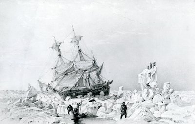 HMS Terörü buzda tutuldu by English School