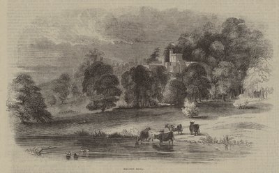Haddon Salonu by English School