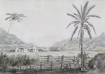 Halse Hall, Jamaika, c.1780 (kağıt üzerinde wc ve grafit) by English School