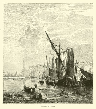 Cenova Limanı by English School