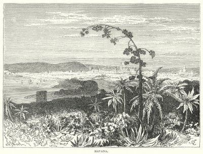 Havana (gravür) by English School