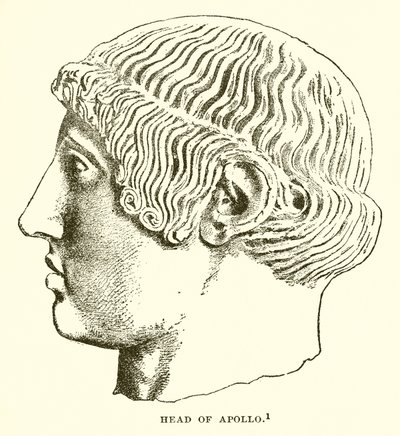 Apollon Başkanı by English School