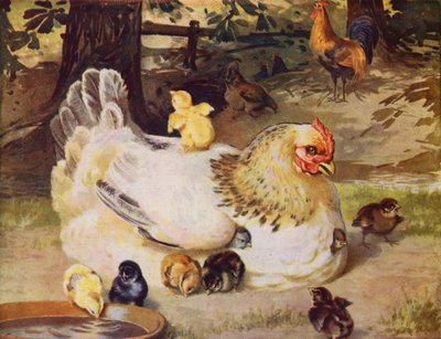 Tavuk ve civcivler (renkli taş) by English School
