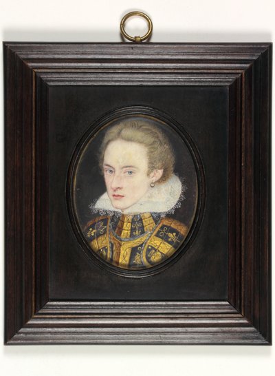 Galler Henry Prensi (parşömen üzerine suluboya) by English School