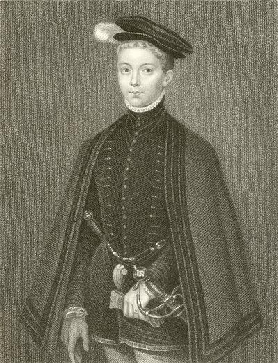 Henry Stuart, Lord Darnley, İskoçya Kralı by English School