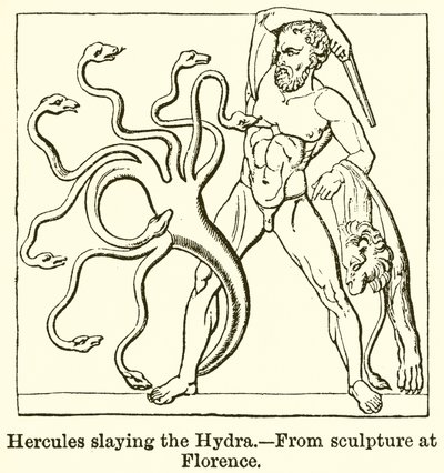 Hydra