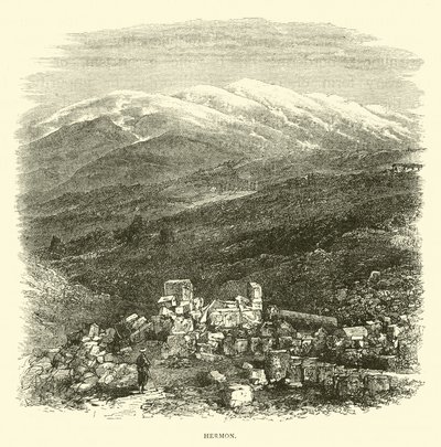 balıkçıl by English School