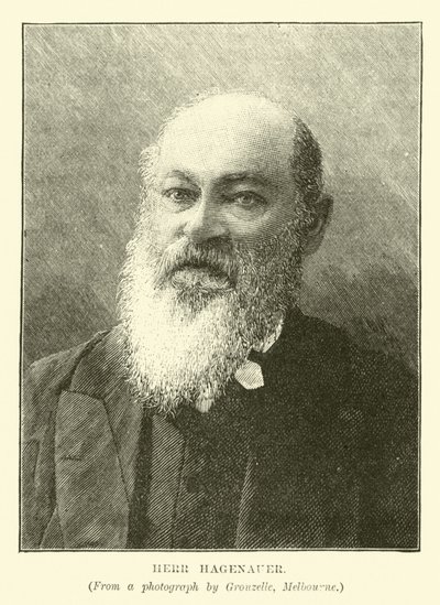 Bay Hagenauer by English School
