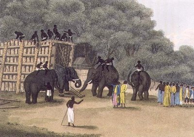 Hint Fil Tuzağı, pub. Edward Orme tarafından by English School