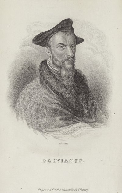 Hippolito Salviani, İtalyan doğa bilimci by English School