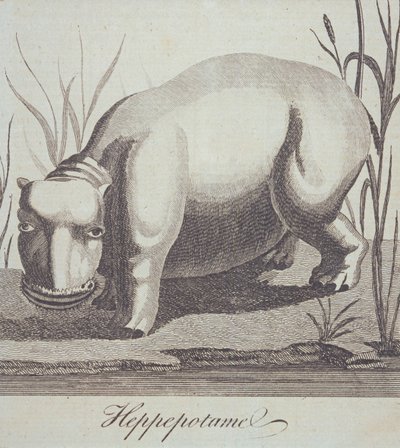 Aralık 1772