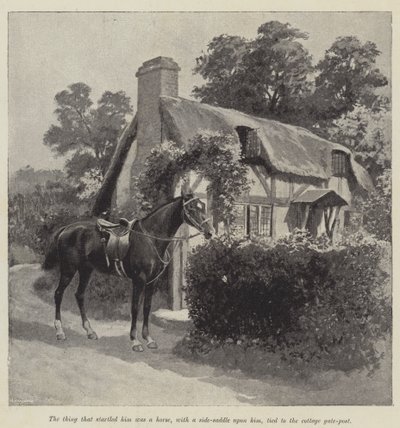 İyi Perisi, Mary Elizabeth Braddon tarafından (gravür) by English School