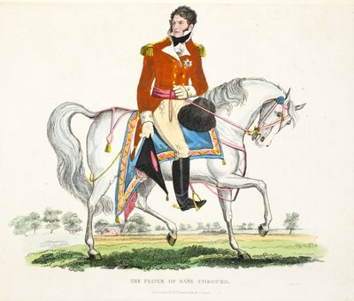 Ekselansları, Büyük Britanya Prensi Vekili, pub. Richard Evans, engr Romney, William Mudford, 1816 (renkli gravür) tarafından Waterloo Savaşı