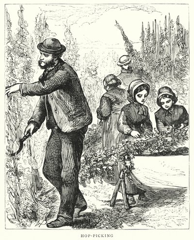 Şerbetçiotu toplama (gravür) by English School
