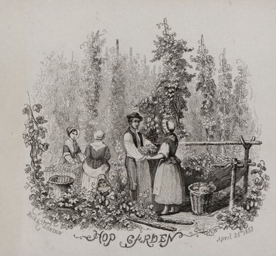 Hop bahçesi (gravür) by English School