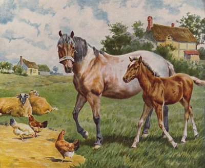 At ve tay, koyun ve tavuklar (renkli taş baskı) by English School