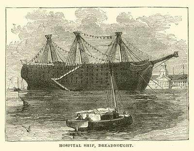 Hastane gemisi, Korkusuz by English School