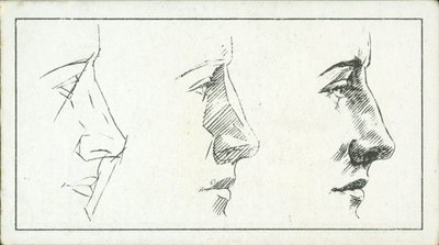 Nasıl çizilir: Burun (lito) by English School