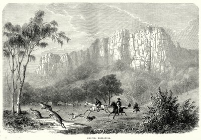 Avlanan Kangurular (gravür) by English School