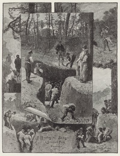 Stanford Park