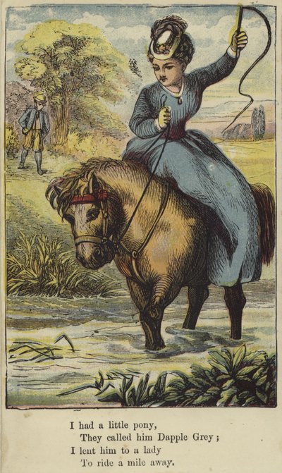 küçük bir midillim vardı by English School