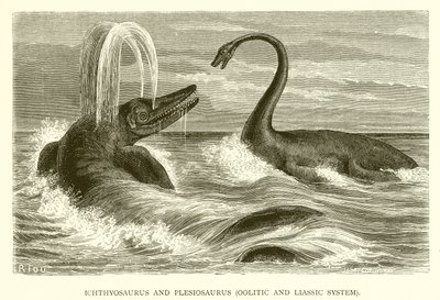 Ichthyosaurus ve Plesiosaurus, Oolitik ve Lias Sistemi by English School