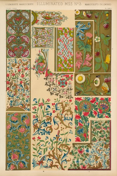 ışıklı MSS by English School