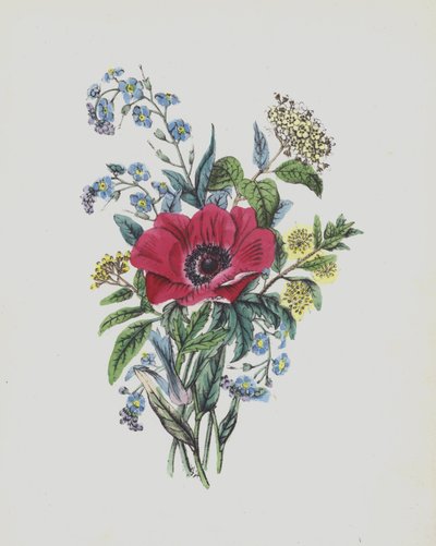 Moss Rose Albümü için illüstrasyon (renkli taş baskı) by English School