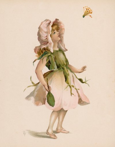 Çiçeklerin Dili (chromolitho) için İllüstrasyon by English School