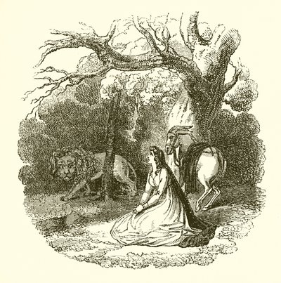 Faery Queene çizimi by English School