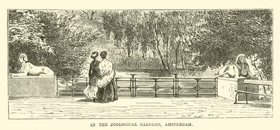 Hayvanat Bahçeleri, Amsterdam by English School