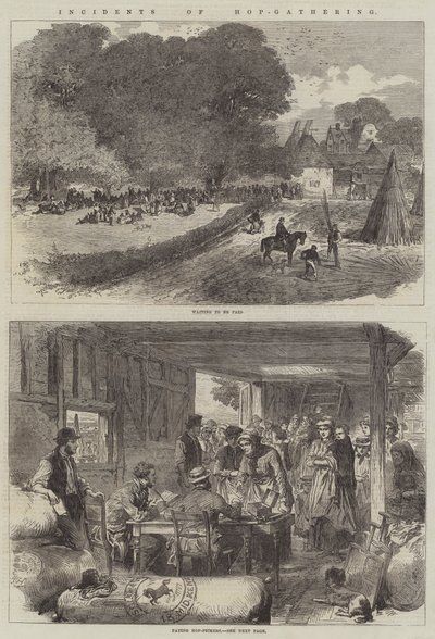 Hop-Toplama Olayları (gravür) by English School