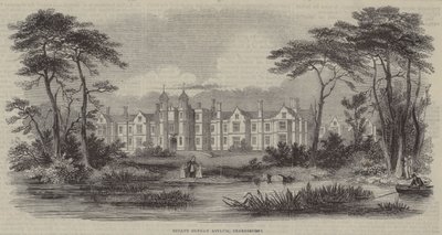 Bebek Yetim İltica, Snaresbrook (gravür) by English School