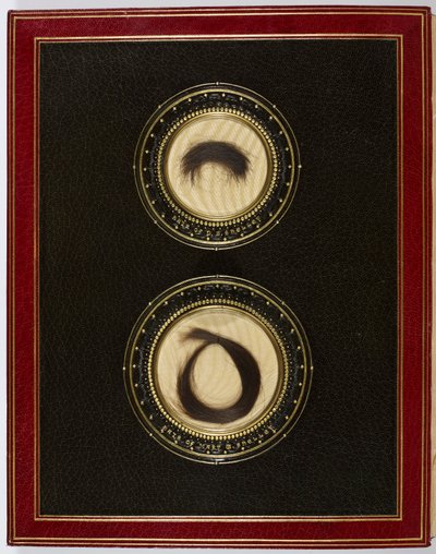Ön Kapağın İçinde, Percy Bysshe Shelley ve karısı Mary Shelley