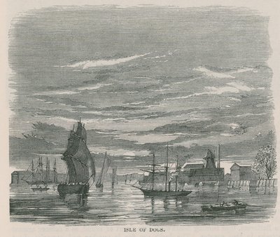 Köpekler Adası by English School