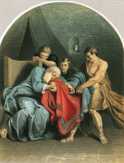 Jacob ve birçok rengin ceketi by English School