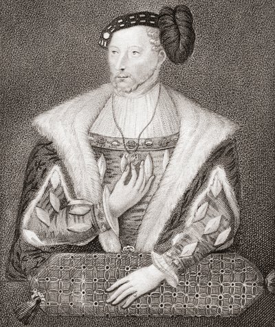 James V, İskoç Kralı by English School