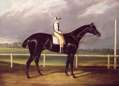 Jerry, 1824'te St. Leger Ödülü'nü kazandı (tuval üzerine yağlı boya) by English School
