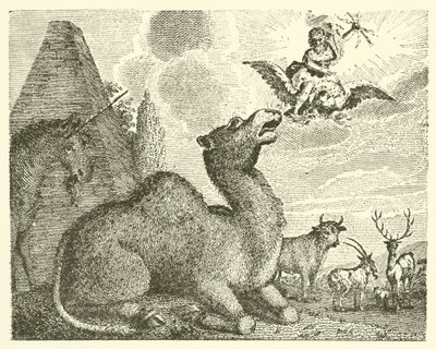 Jüpiter ve deve (gravür) by English School