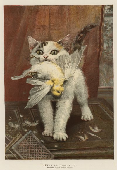 Juvenil Ahlaksızlık (chromolitho) by English School