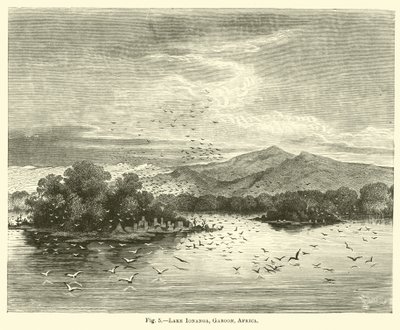 Ionanga Gölü, Gaboon, Afrika by English School