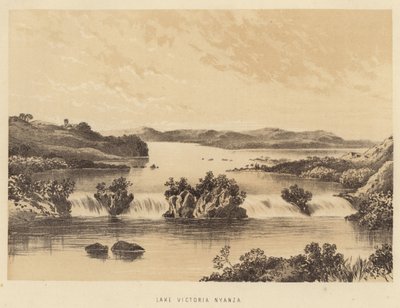 Victoria Nyanza Gölü by English School