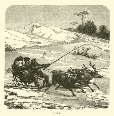 turlar by English School