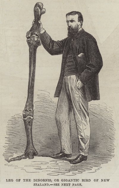 Henri Vicdan, "Belçikalı Walter Scott" (gravür) by English School