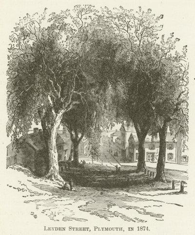 1874 yılında Leyden Caddesi, Plymouth, by English School