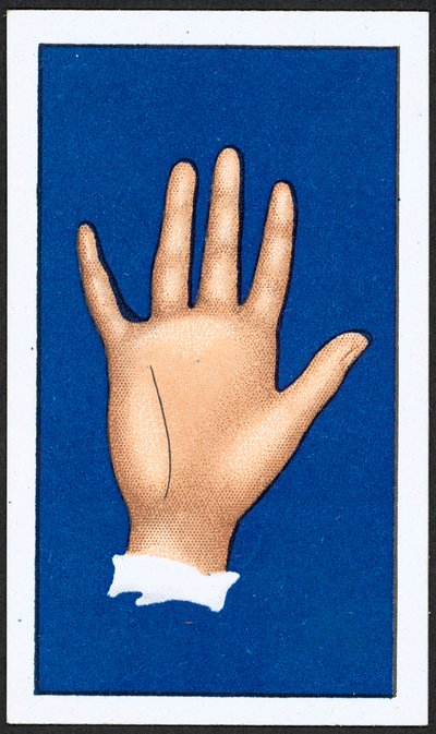 Sezgi Hattı (renkli taş) by English School